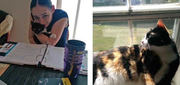 (L) Arya, too slow to avoid being caught for a picture; (R) Chell, too dignified to deal with things like research